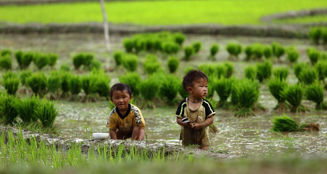 Mu Cang Chai Eco Lodge Nam San Exterior foto