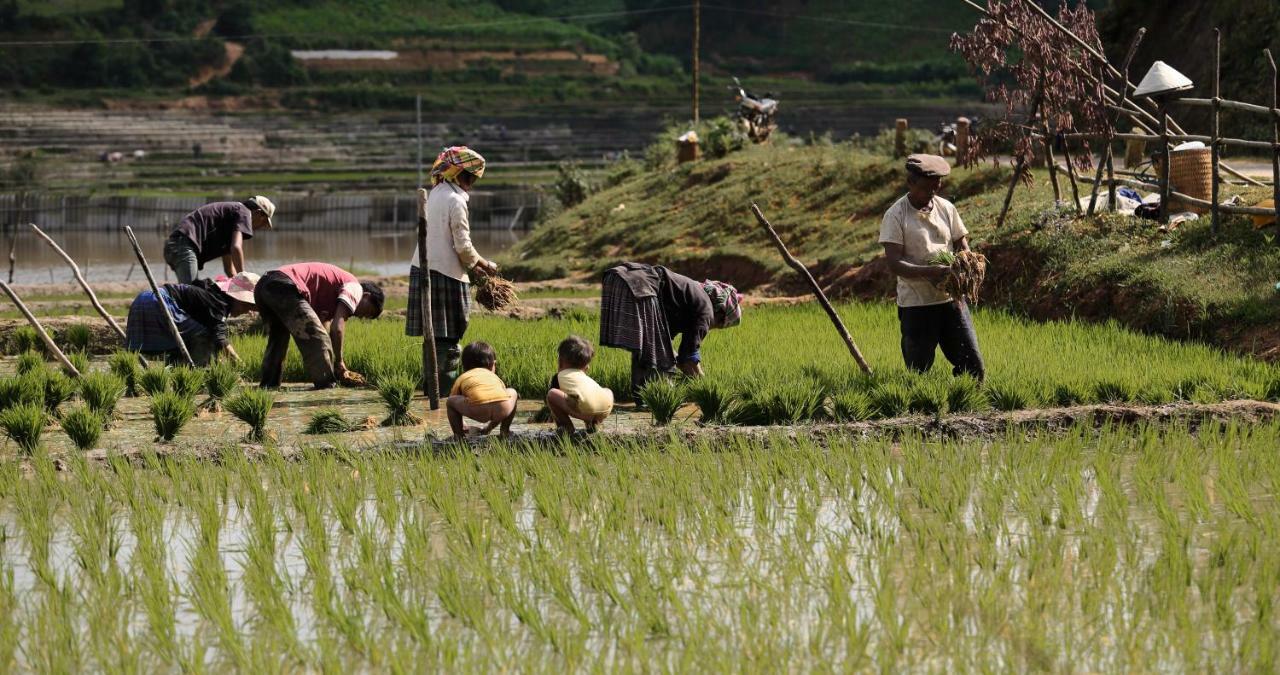 Mu Cang Chai Eco Lodge Nam San Exterior foto